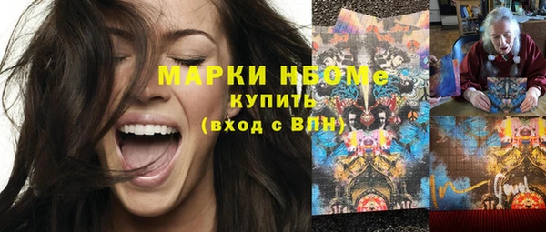 прущие грибы Кулебаки