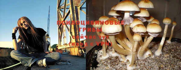 прущие грибы Кулебаки