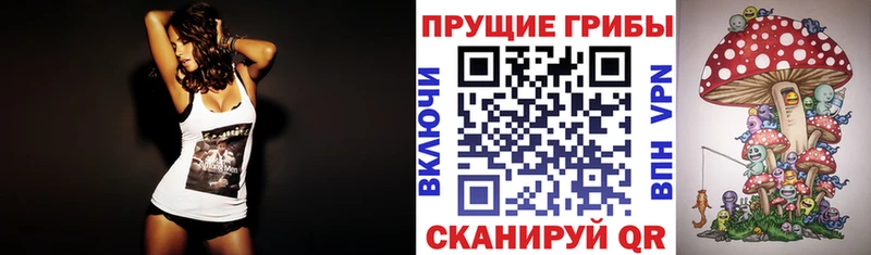 Купить где  Кимовск  Псилоцибиновые грибы GOLDEN TEACHER 