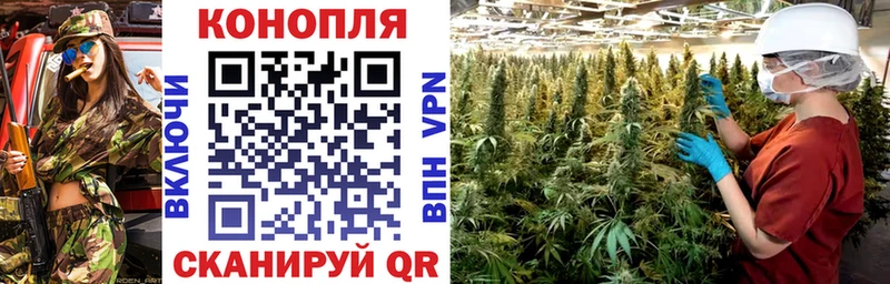 Купить  Кимовск  Конопля конопля 